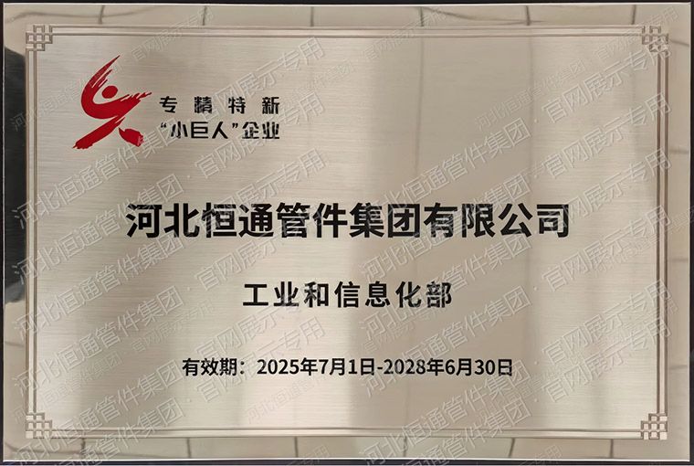 专精特新小巨人企业