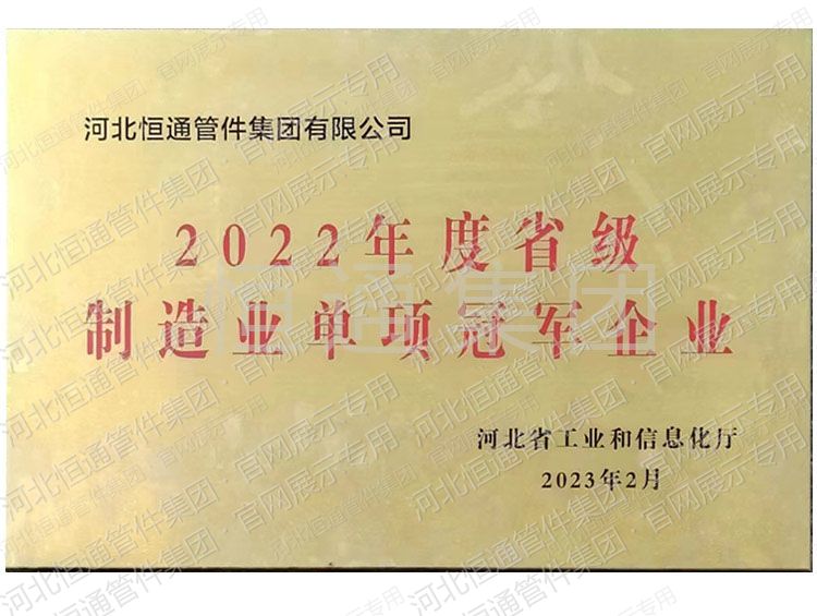 2022年度省级制造业单项冠军