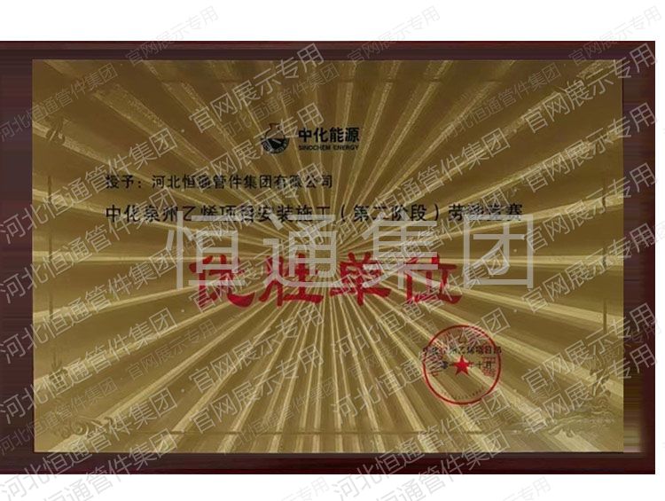 中化泉州乙烯项目优秀单位