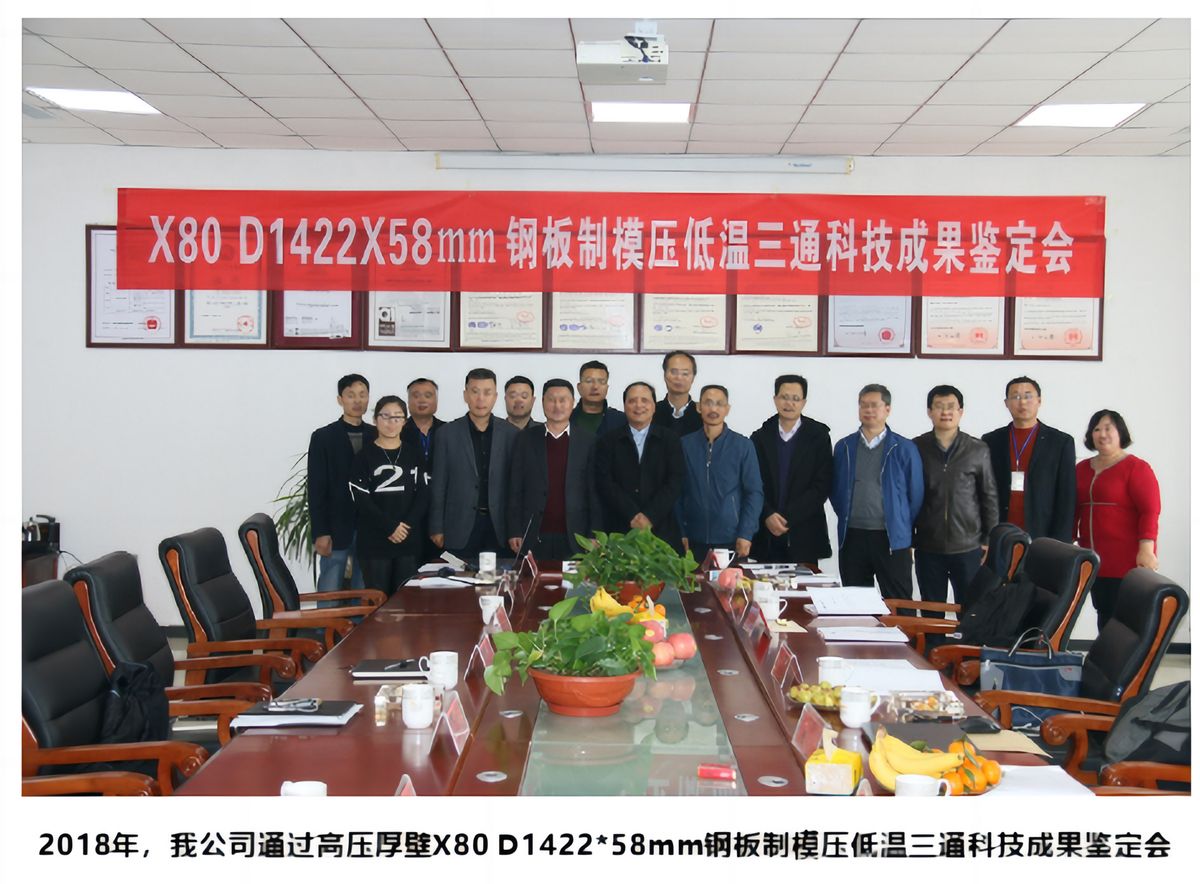 低温三通科技成果鉴定会